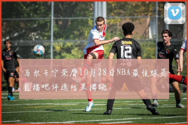 马尔卡宁荣膺10月28日NBA最佳球员直播吧评选结果揭晓